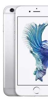 free iphones collection picture from front and back.