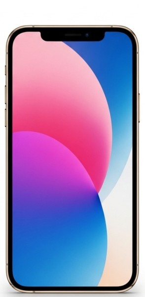 free government iPhone 12 Pro Max